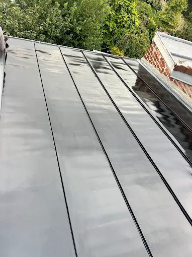 Toiture d'une maison de la commune Ferrière-la-Grande